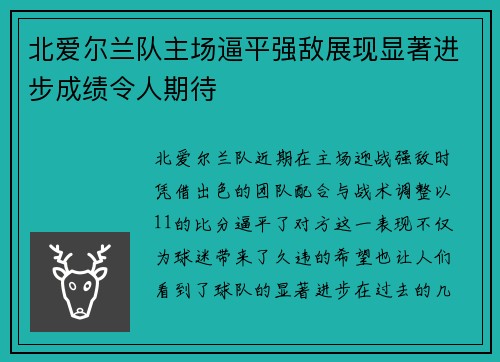 北爱尔兰队主场逼平强敌展现显著进步成绩令人期待